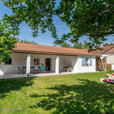 Les De Sophie 85 Hortensia Saint-Gervais (Vendee)